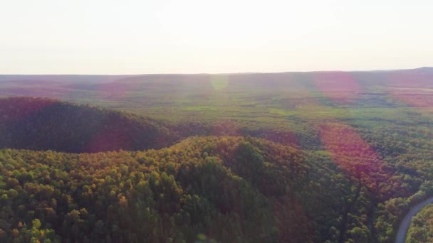 Video aereo di montagna, strada e foresta estiva — Video Stock