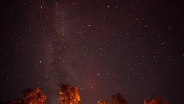 밤의 별 이 총 총 한 하늘을 배경으로 한 간헐천 — 비디오