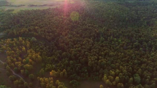 Vídeo aéreo de montañas y bosques de verano — Vídeos de Stock