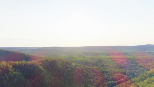 Video aereo di montagna, strada e foresta estiva — Video Stock