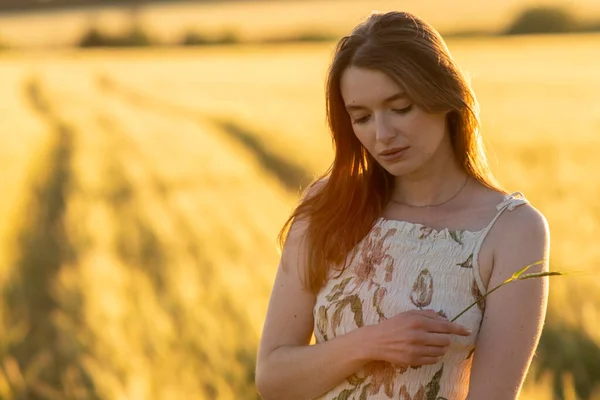 Chica en un vestido en un campo de trigo al atardecer — Foto de Stock