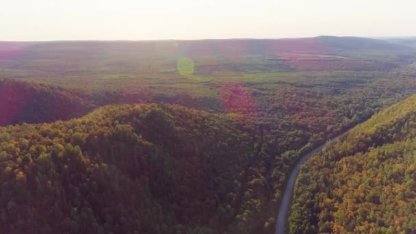 Авиационное видео гор, дорог и летних лесов — стоковое видео