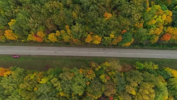 Повітряне відео осіннього лісу та дороги — стокове відео