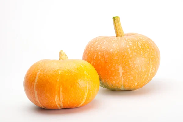 Pumpkins Isolated on White — Stock Photo, Image