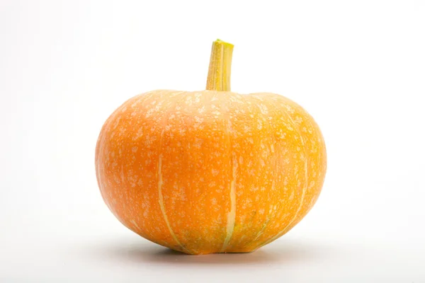 Orange Pumpkin Isolated on a White Background — Stock Photo, Image