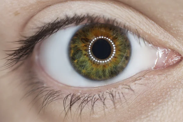 Woman green eye closeup — Stock Photo, Image