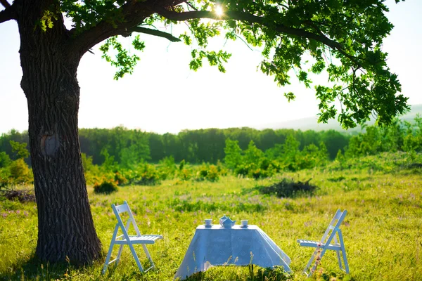 Outdoor im Frühling, weißer Tisch — Stockfoto