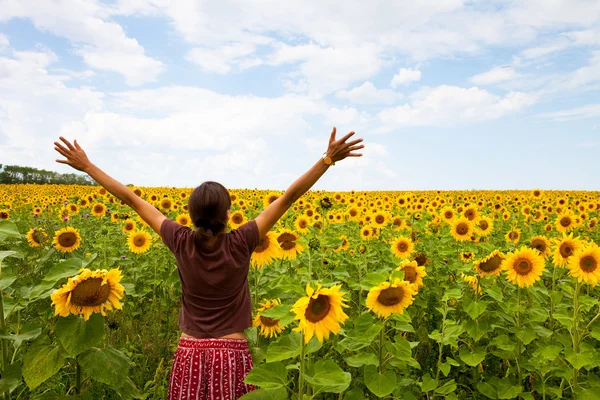Schöne junge Frau im Sonnenblumenfeld — Stockfoto