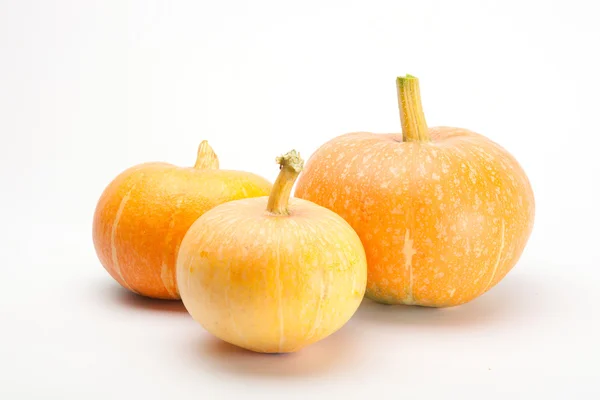 Pumpkins — Stock Photo, Image