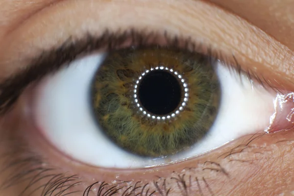 Close up of a green woman eye — Stock Photo, Image