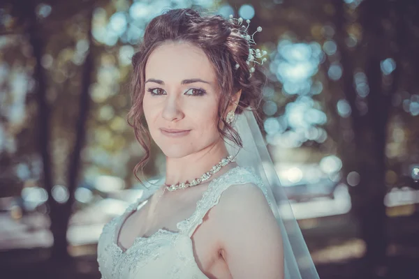 Portrait of a beautiful brunette bride — Stock Photo, Image