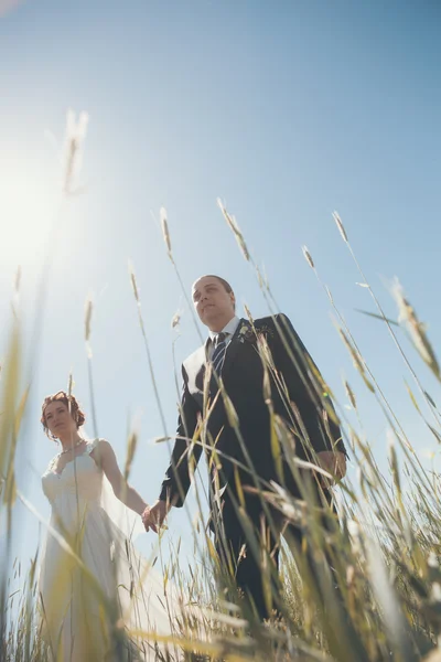 Liefdevolle bruid en bruidegom — Stockfoto