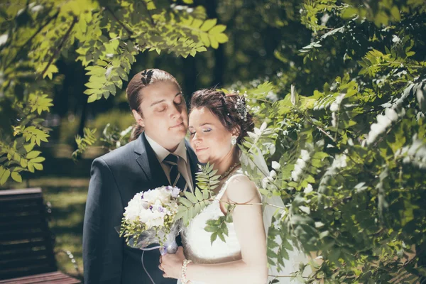 Gelukkige bruid omhelst bruidegom — Stockfoto