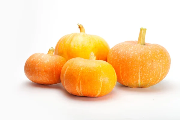 Pumpkins Isolated on White — Stock Photo, Image