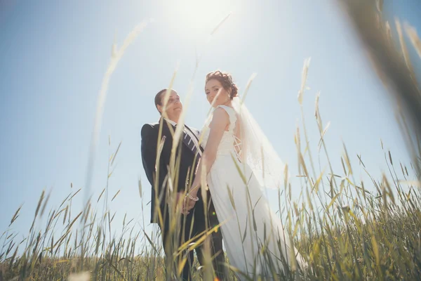 Romantik gelin ve damat — Stok fotoğraf