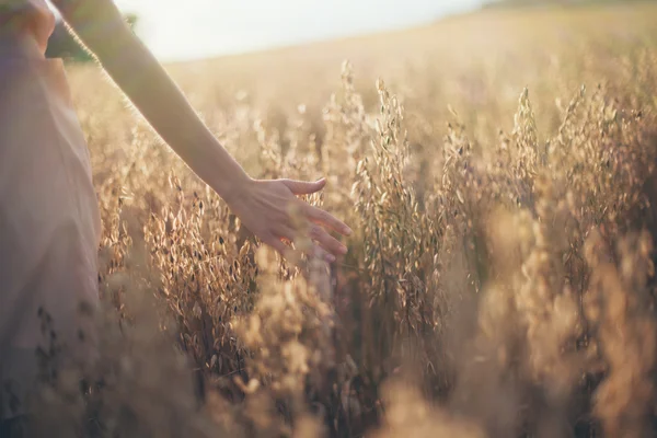 Touching the harvest — Stock Photo, Image