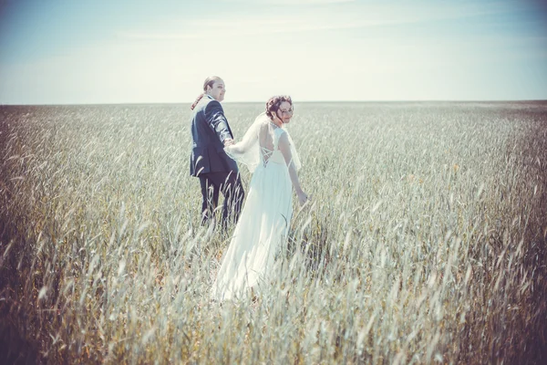 Romantic bride and groom — Stock Photo, Image