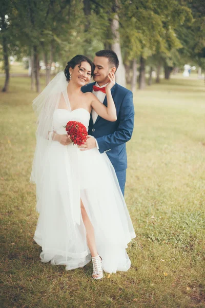 Novia y novio cariñosos —  Fotos de Stock