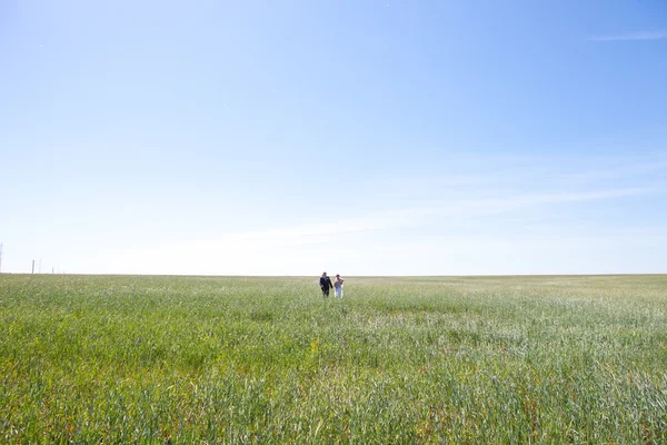 Bride and Groom walking on a field — Stock Photo, Image