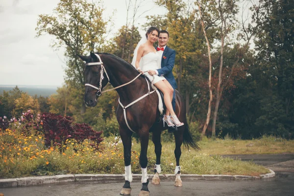 Novia y novio —  Fotos de Stock