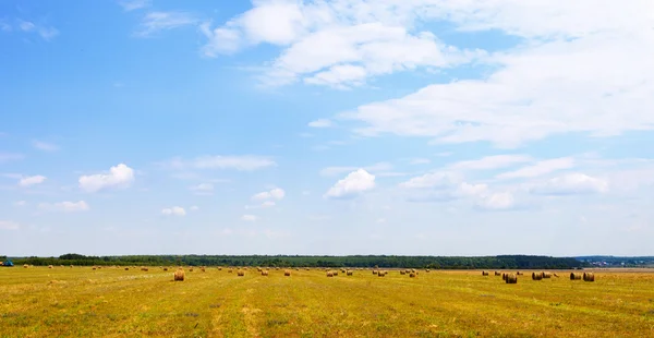 Bale of Straw — Stock Photo, Image