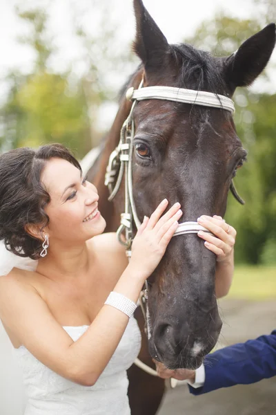 Noiva e cavalo — Fotografia de Stock