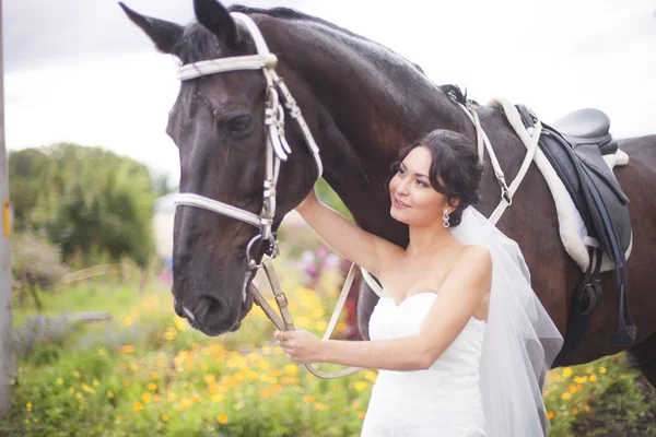 Bruid en paard — Stockfoto