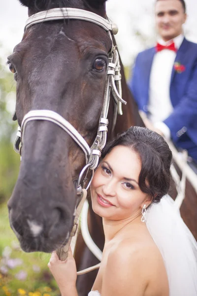 Jovem mulher de vestido branco de pé com cavalo — Fotografia de Stock