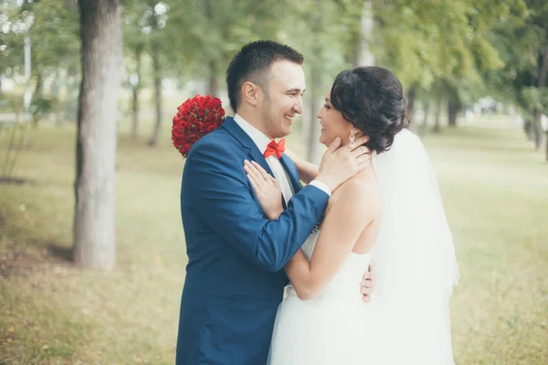 Portraits de mariage étonnants — Photo