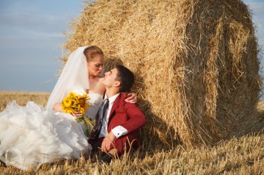 gelin damat