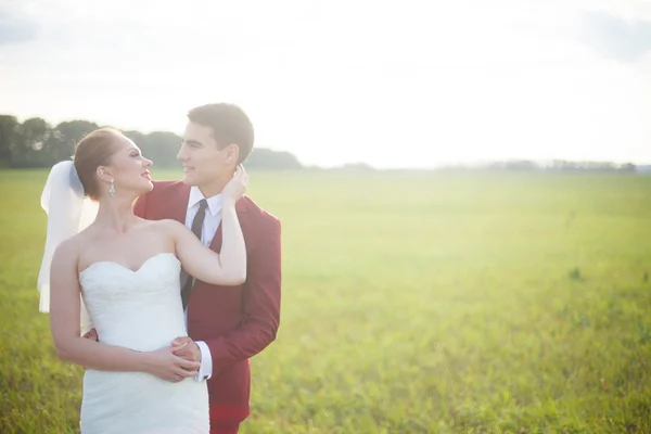 Novia y novio — Foto de Stock