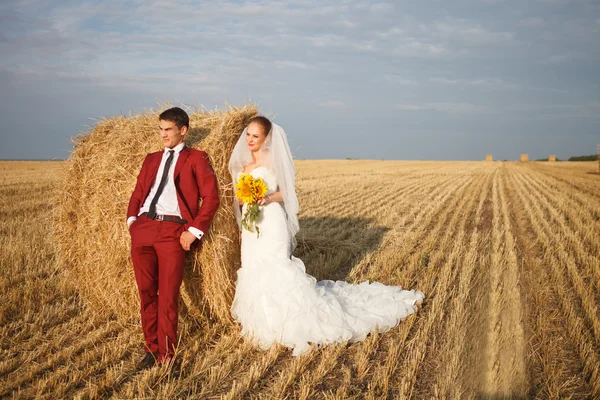 Kärleksfull brud och brudgum — Stockfoto