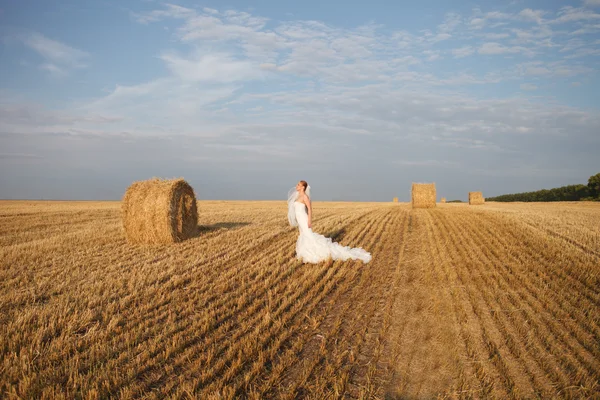 Bella sposa — Foto Stock