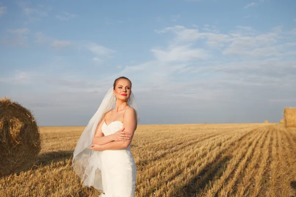 Braut im Feld — Stockfoto