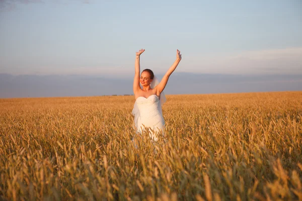 Beautiful bride — Stock Photo, Image