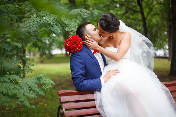 Pareja feliz el día de la boda — Foto de Stock