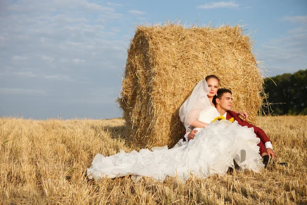 Casal de casamento - noiva e noivo — Fotografia de Stock