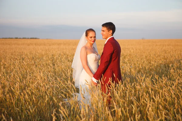 Novia y novio —  Fotos de Stock