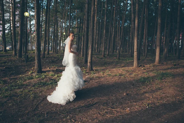 Buona sposa. — Foto Stock