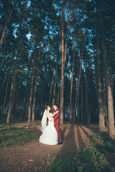 Novia y novio —  Fotos de Stock