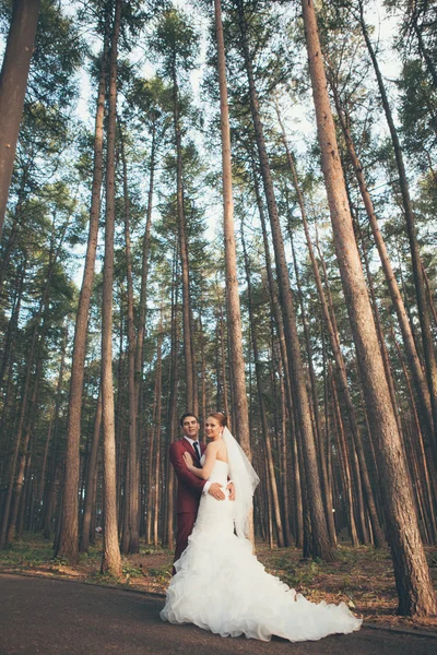 Cuplu de nunta — Fotografie, imagine de stoc