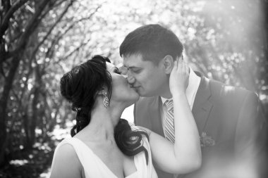 kucaklama mutlu gelin damat