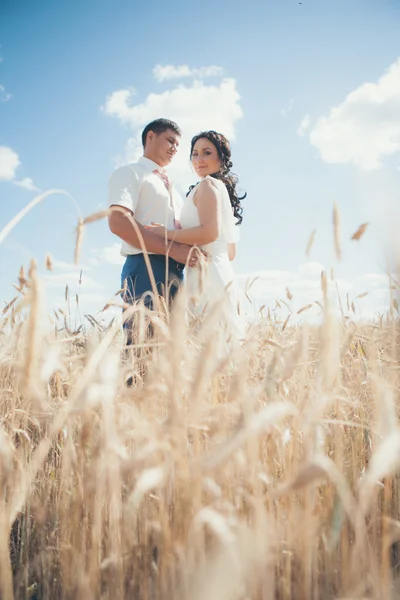 Novia y novio — Foto de Stock