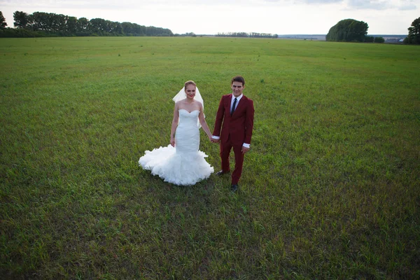 Felice sposa e sposo — Foto Stock