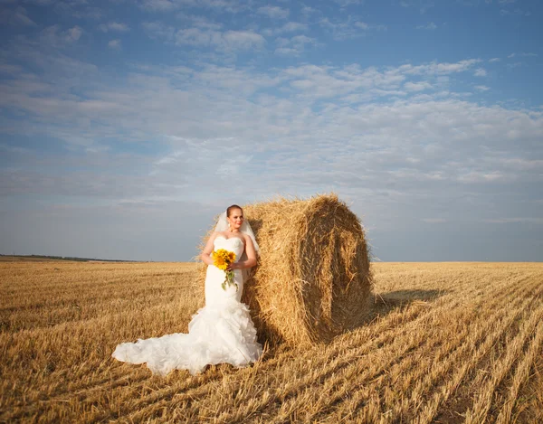 Hochzeitsporträts — Stockfoto