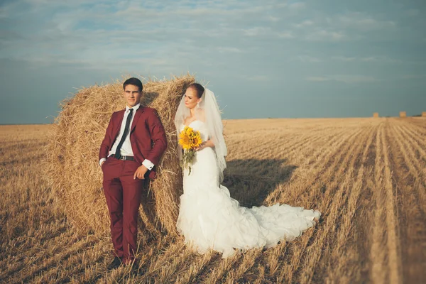 Novia y novio —  Fotos de Stock