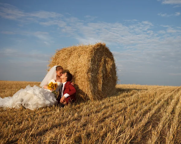 Schöne Braut und Bräutigam — Stockfoto