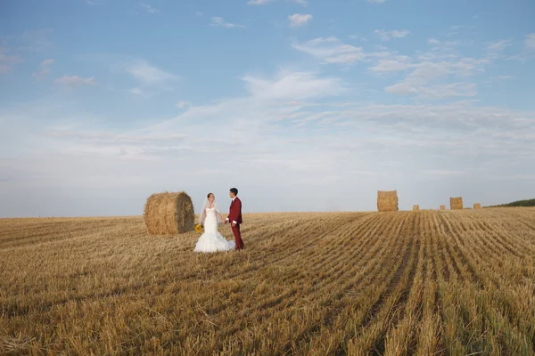 Wedding couple — Stock Photo, Image