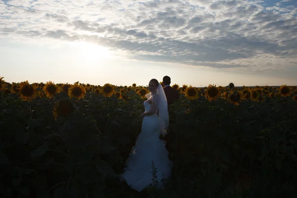 Bruden & brudgummen utomhus — Stockfoto