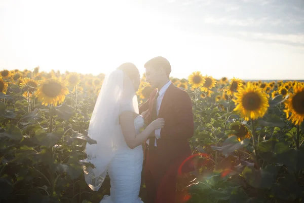 Невеста & жениха на открытом воздухе — стоковое фото